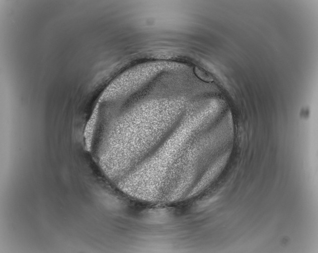 X0000091450307200709061740