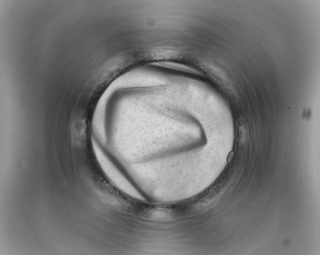 X0000091450308200709061740