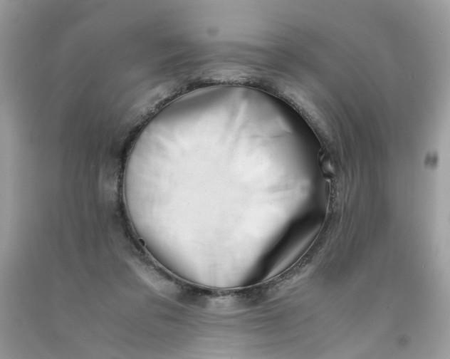 X0000091450309200709061740