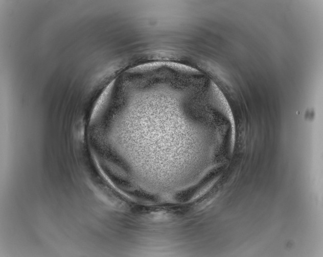 X0000091450310200709061740