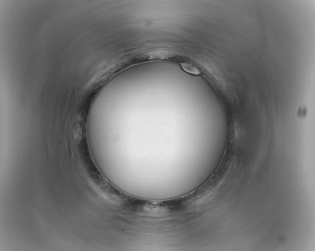 X0000091450311200709061740