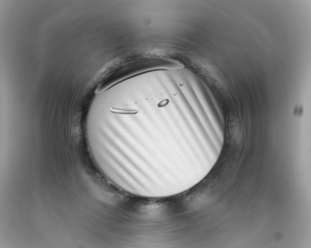 X0000091450312200709061740