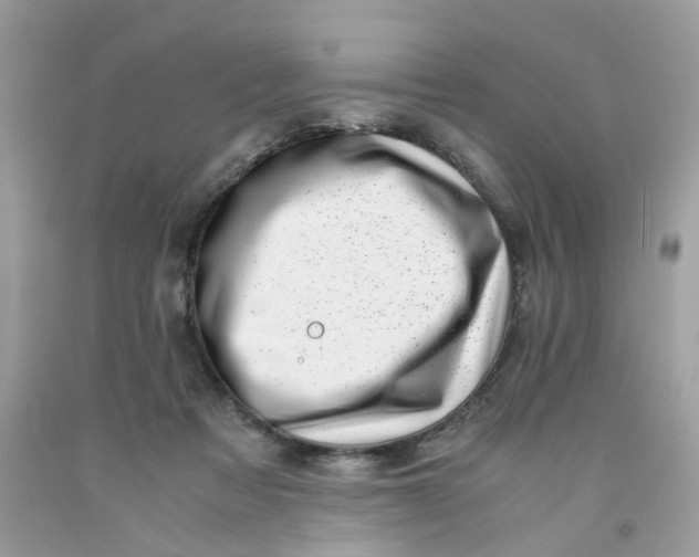 X0000091450313200709061740