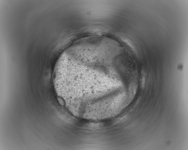 X0000091450314200709061740