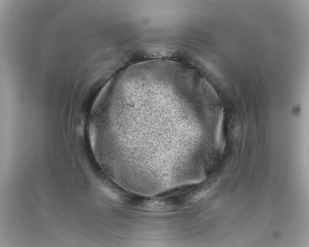 X0000091450315200709061740