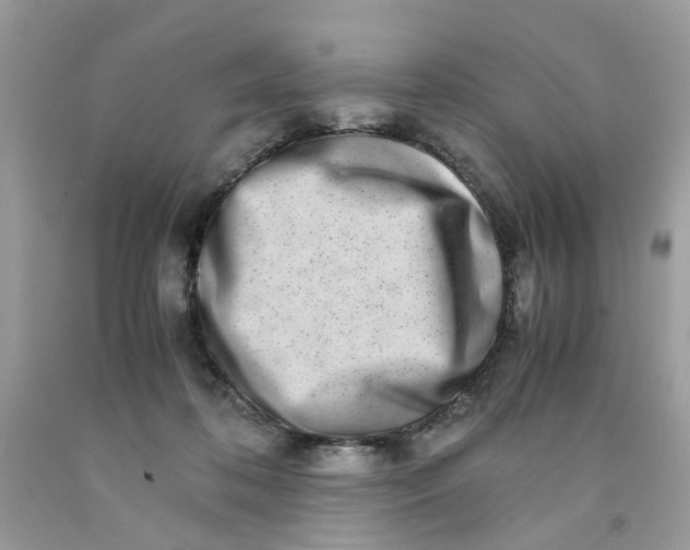 X0000091450316200709061740