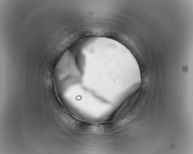 X0000091450317200709061740