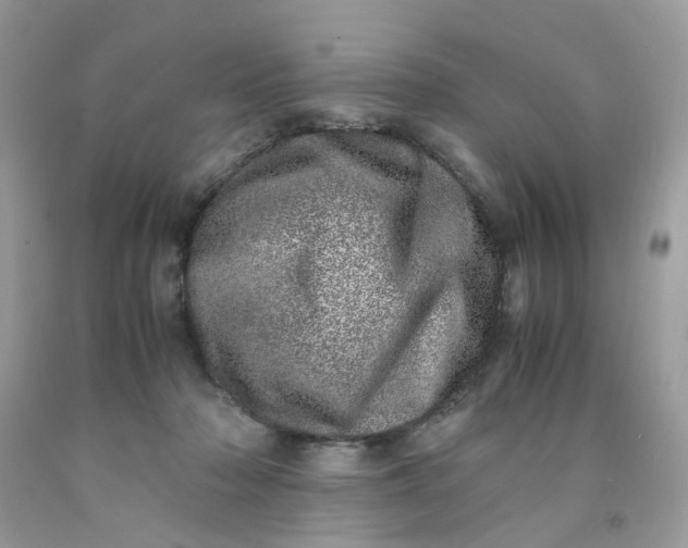 X0000091450318200709061740