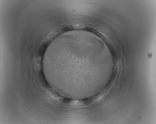 X0000091450319200709061740