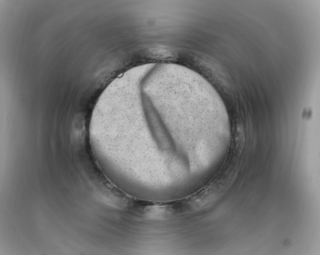 X0000091450320200709061740