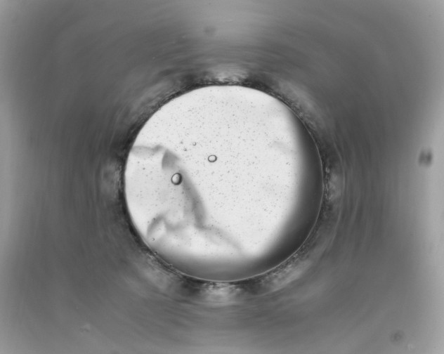 X0000091450321200709061740