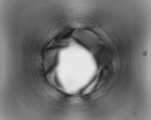 X0000091450322200709061740