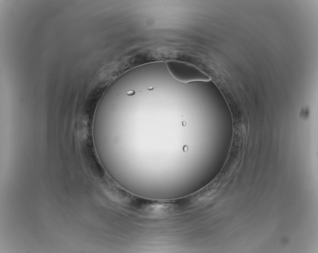 X0000091450323200709061740