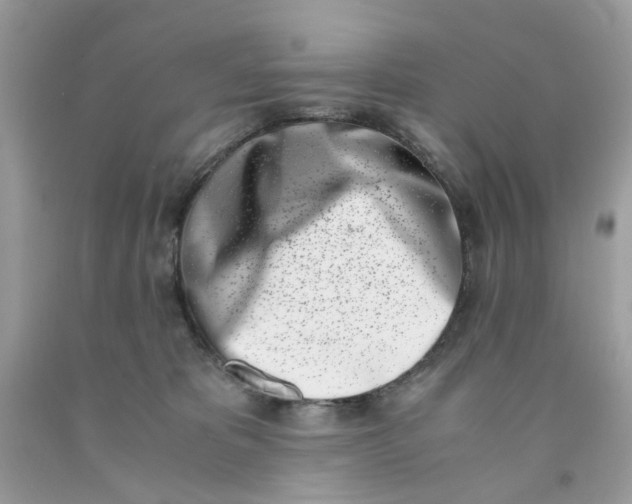 X0000091450325200709061740