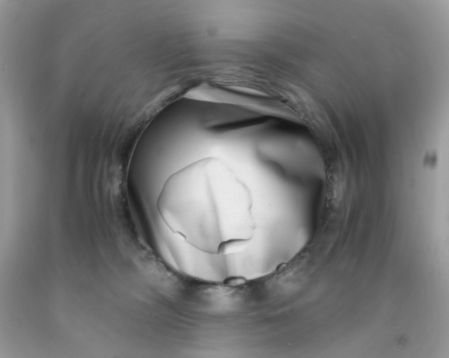 X0000091450326200709061740