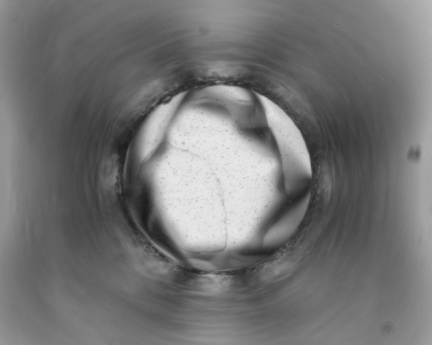 X0000091450328200709061740