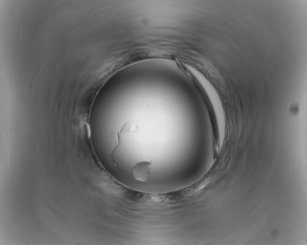 X0000091450329200709061740