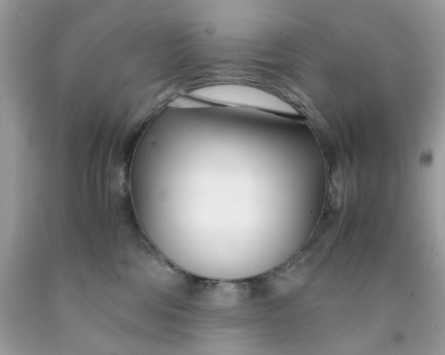 X0000091450330200709061740