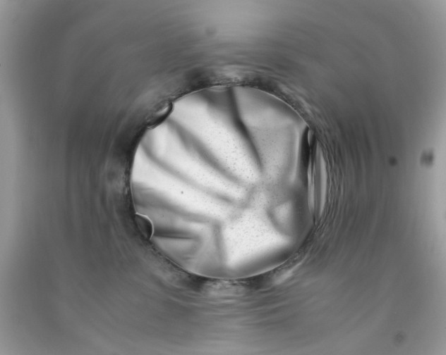 X0000091450331200709061740