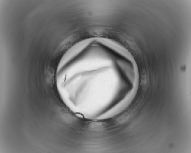 X0000091450332200709061740