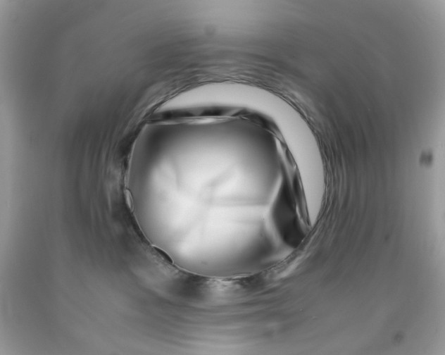 X0000091450333200709061740