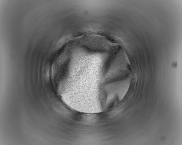 X0000091450334200709061740