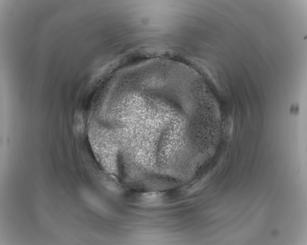 X0000091450335200709061740