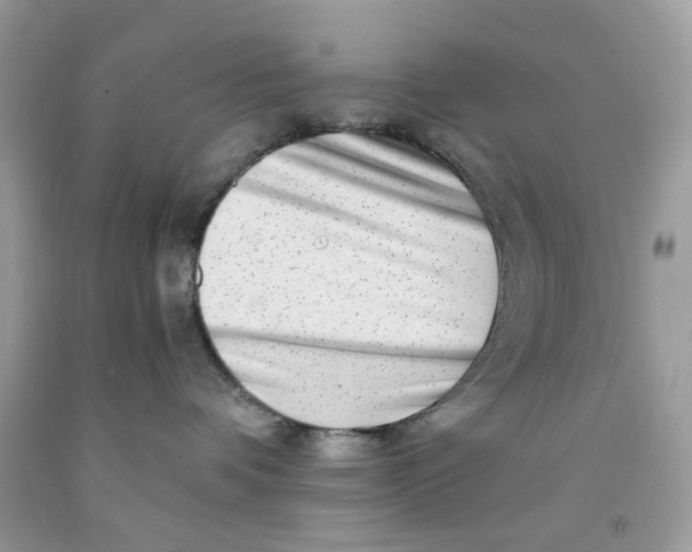 X0000091450336200709061740