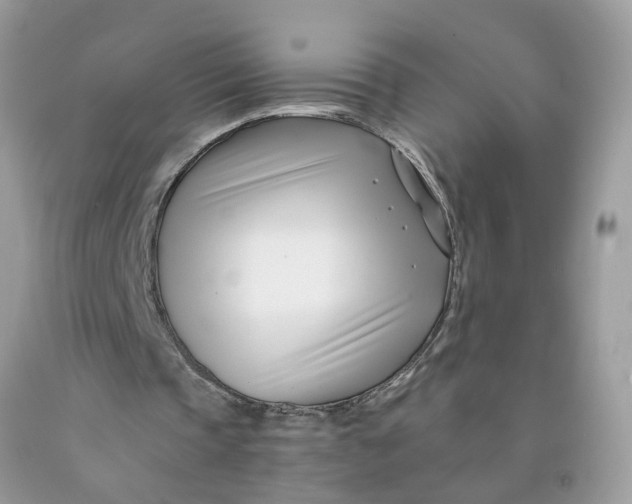 X0000091450337200709061739