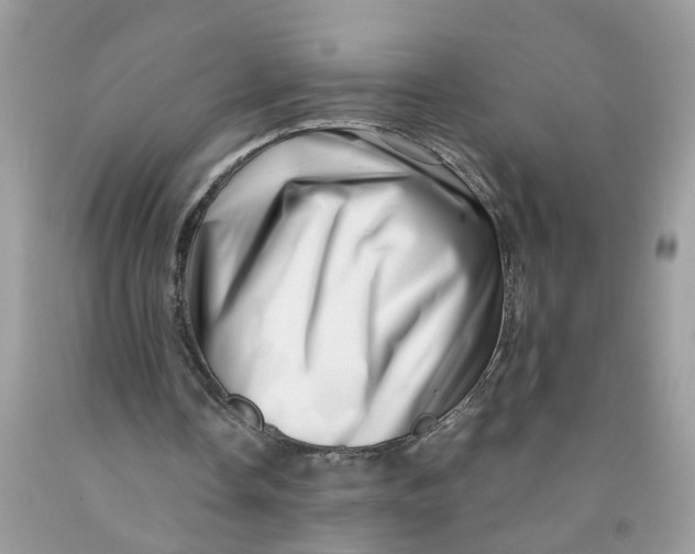 X0000091450338200709061739