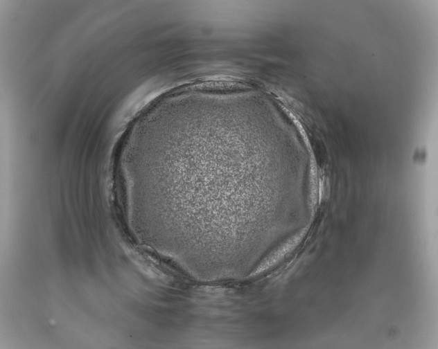 X0000091450339200709061739