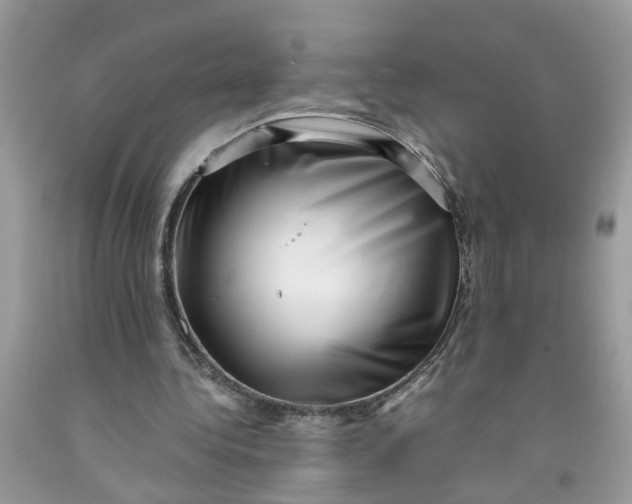 X0000091450340200709061739