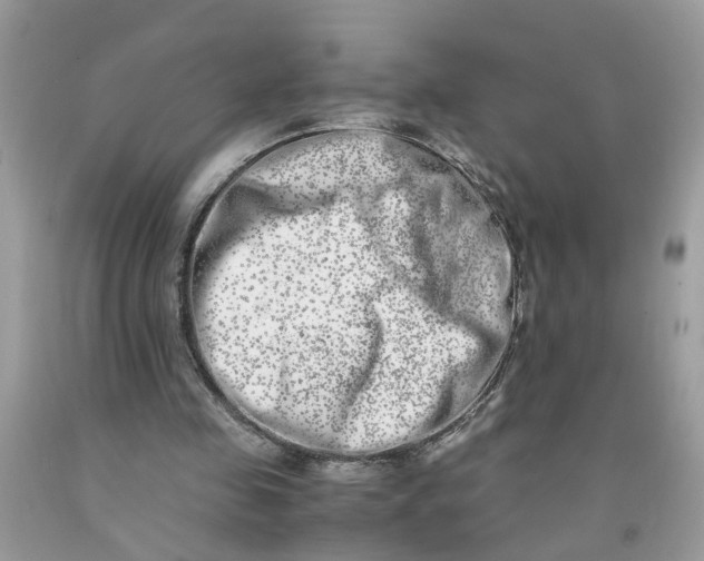 X0000091450341200709061739