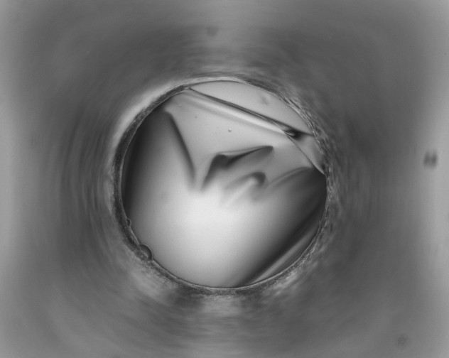 X0000091450342200709061739