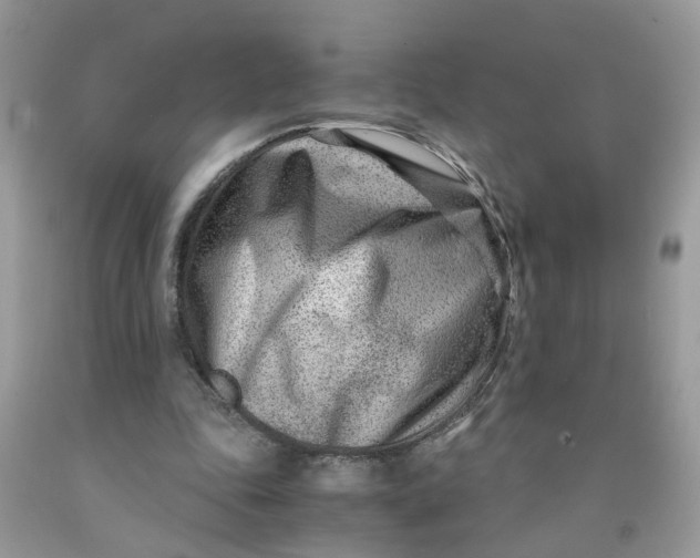 X0000091450343200709061739