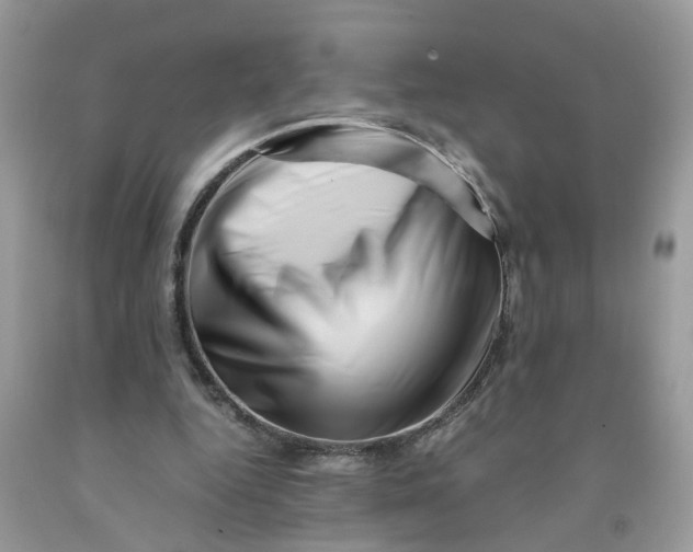 X0000091450344200709061739