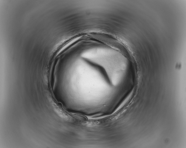 X0000091450345200709061739