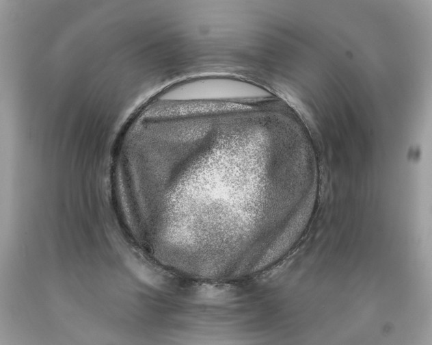 X0000091450346200709061739