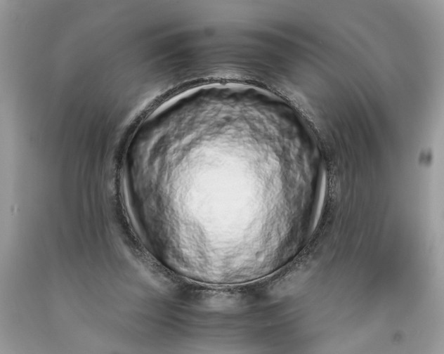 X0000091450347200709061739