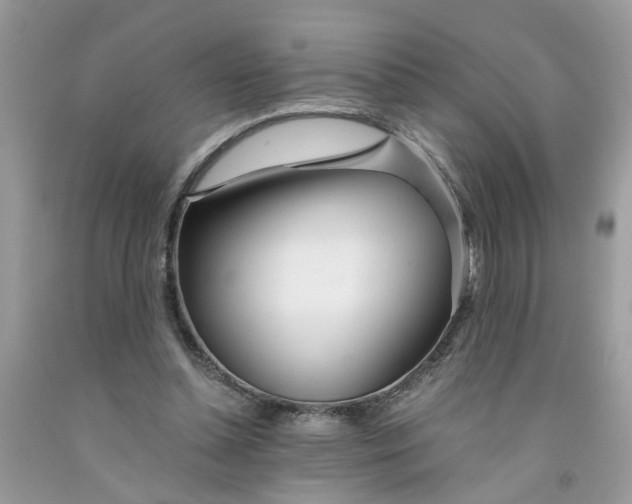 X0000091450348200709061739