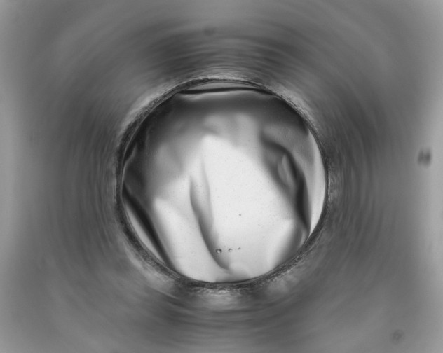 X0000091450349200709061739