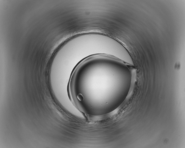 X0000091450350200709061739