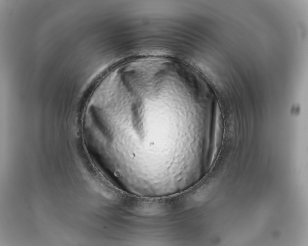 X0000091450351200709061739