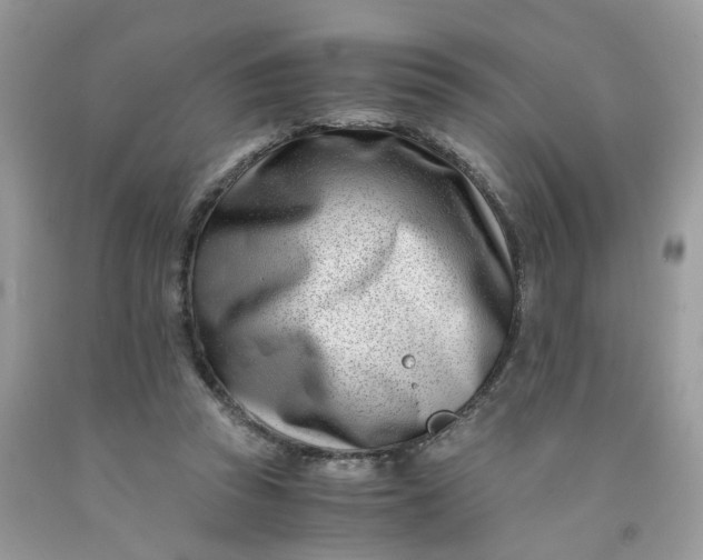 X0000091450353200709061739