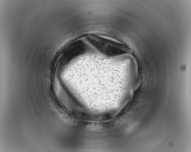 X0000091450354200709061739