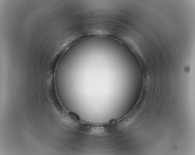 X0000091450355200709061739