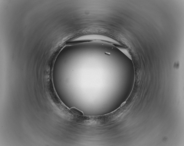 X0000091450356200709061739