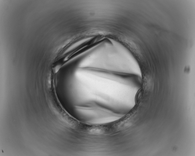 X0000091450358200709061739