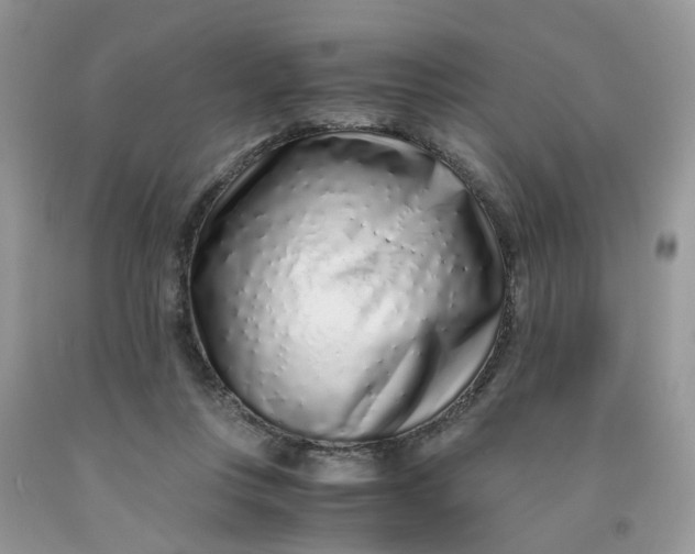 X0000091450359200709061739