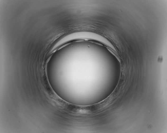 X0000091450360200709061739